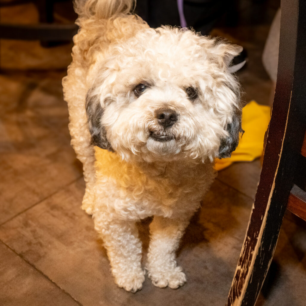 Childhelp Los Angeles Be the Sunshine Event