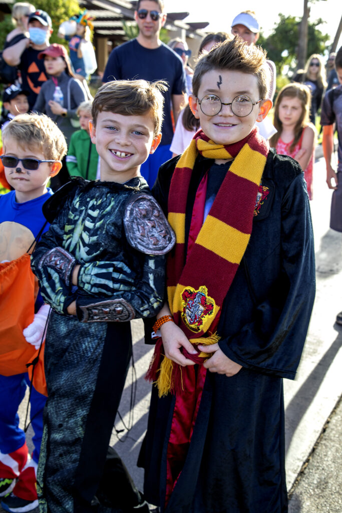 51628958692_2ba9368a7f_o